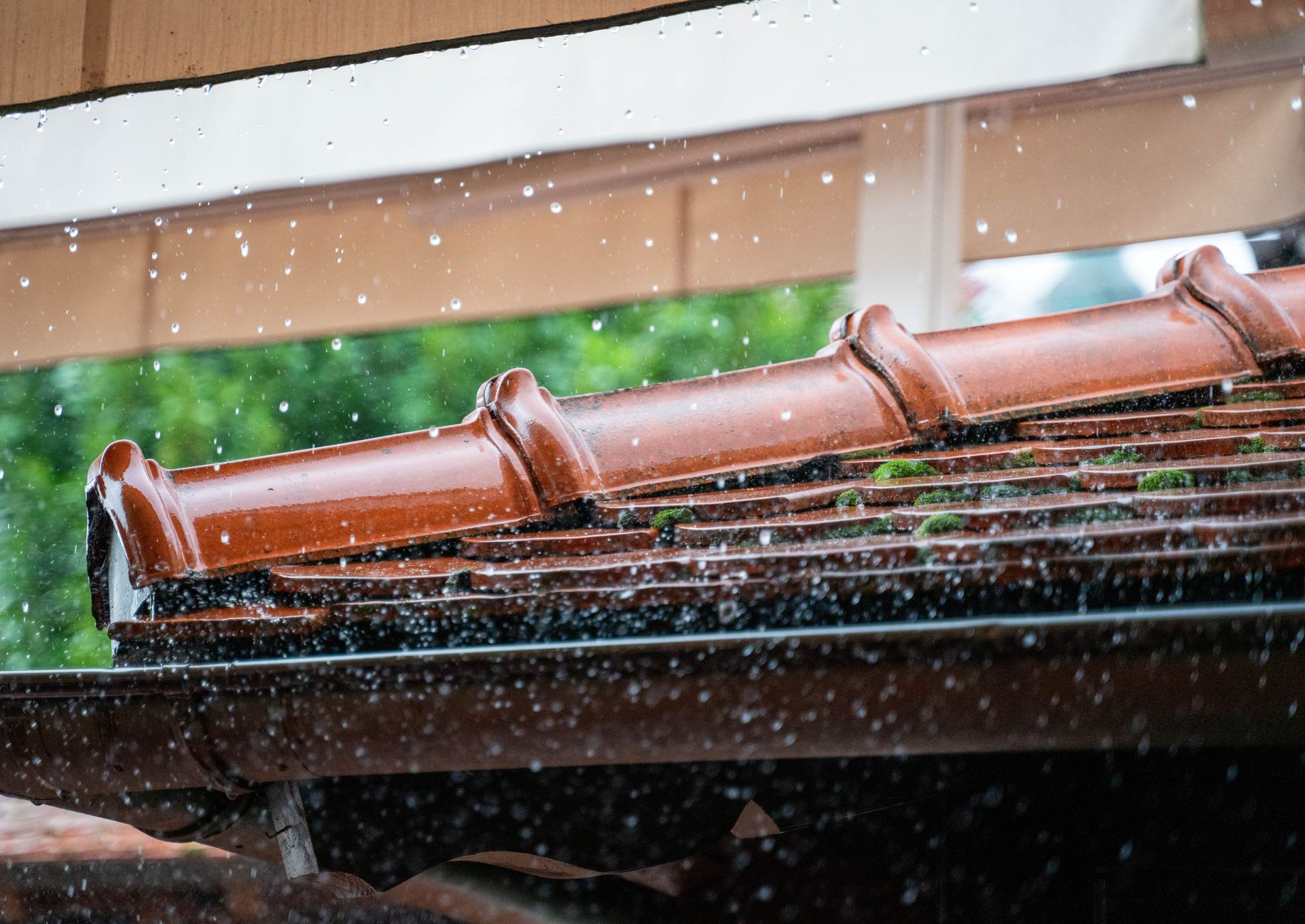 Gutter Cleaning – New Braunfels