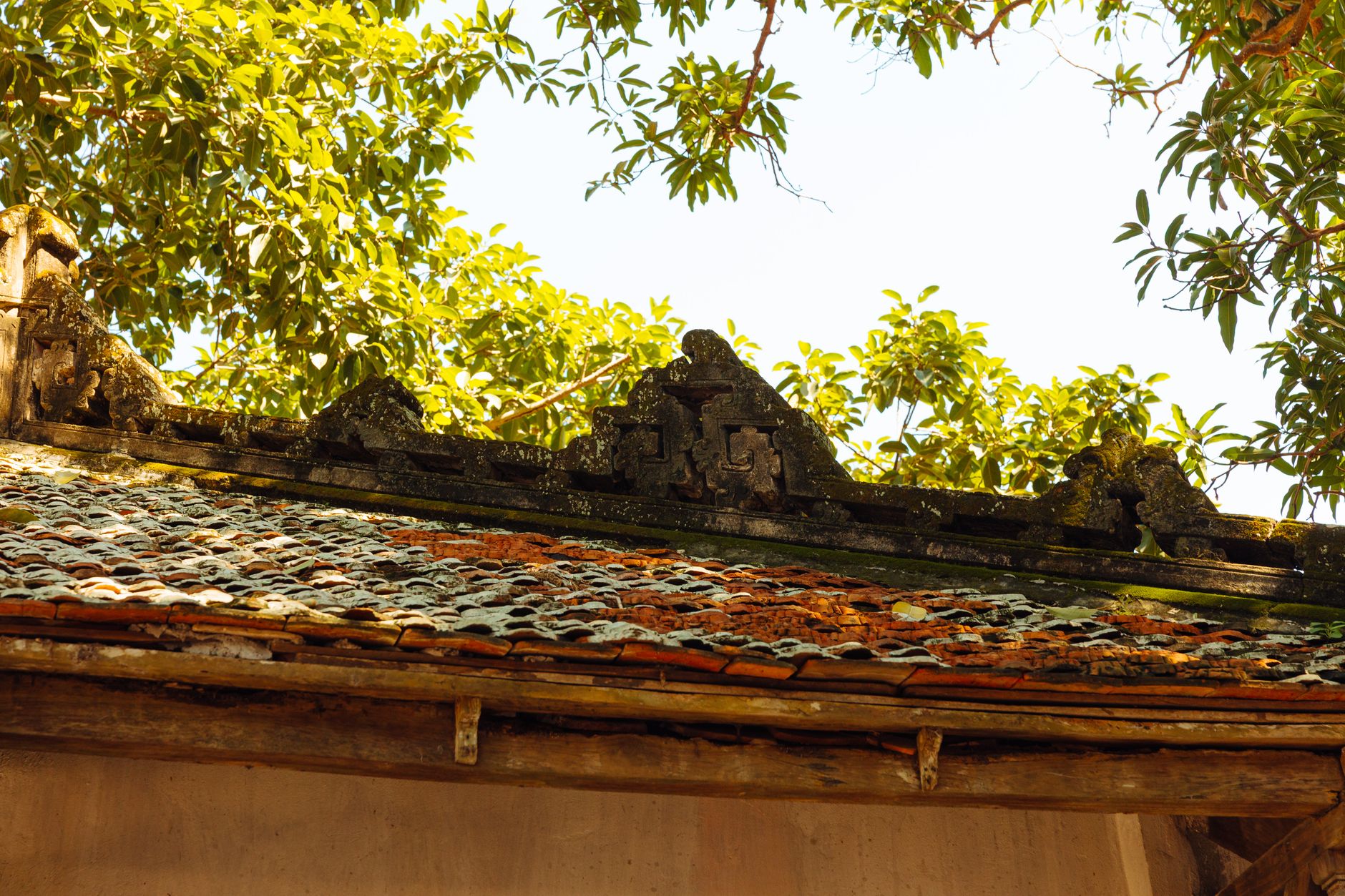 Storm Damage – New Braunfels